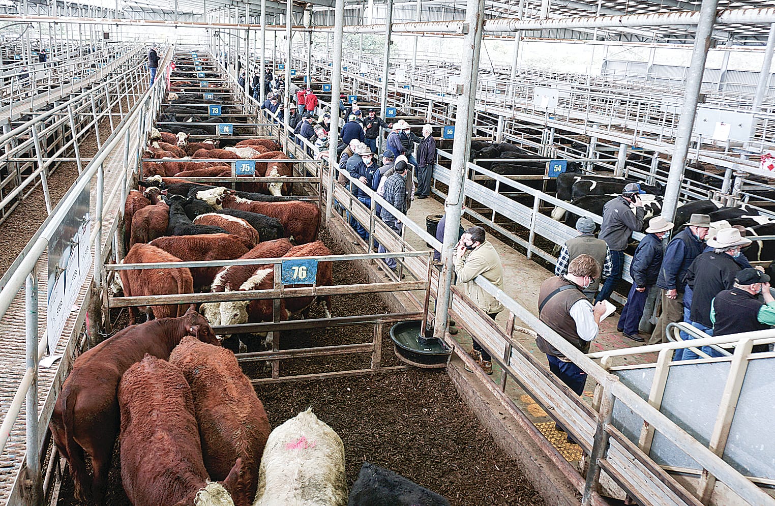 Red meat, livestock industry well placed to capitalise on exceptional conditions