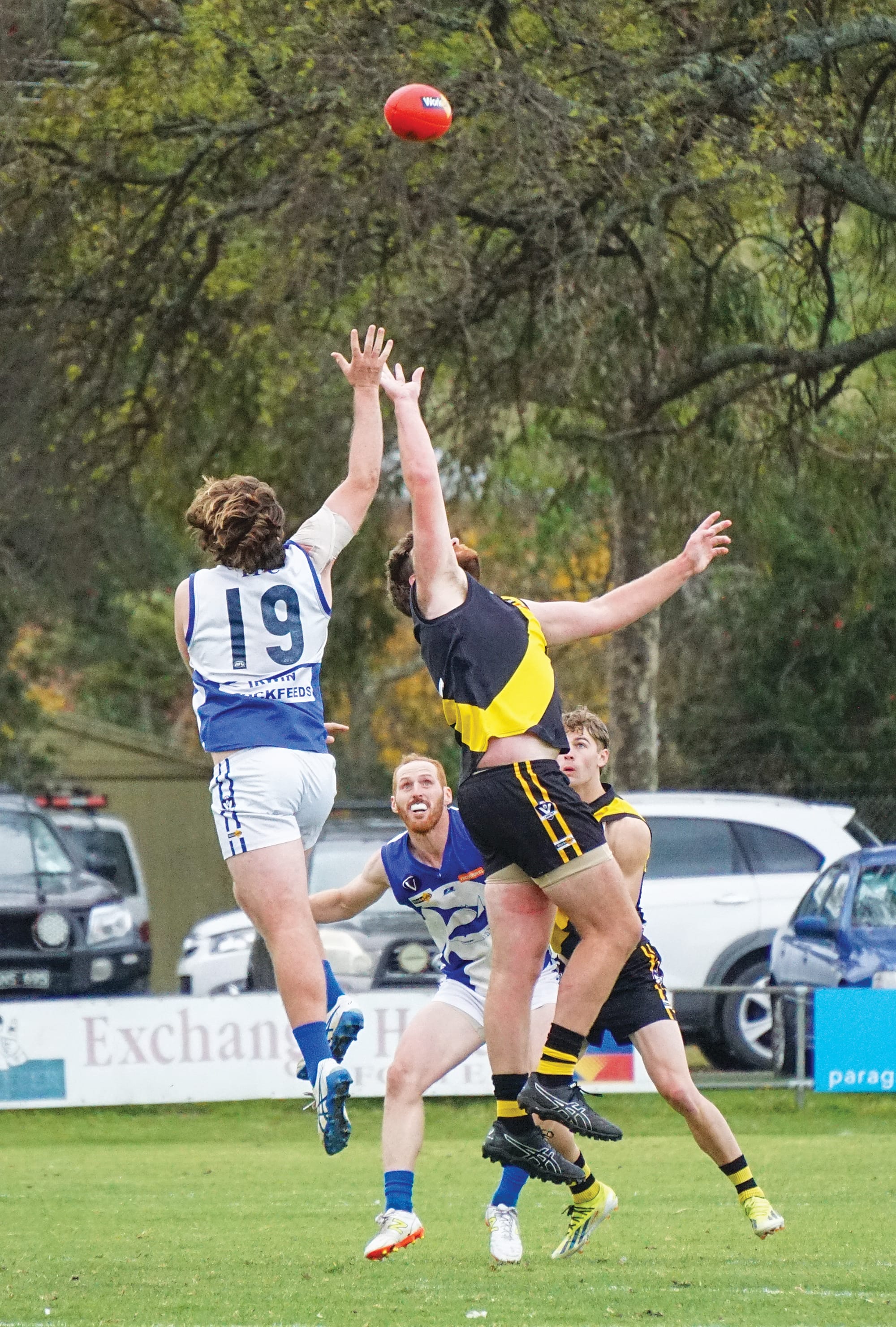 Tarwin’s Harrison&nbsp;Cumming contests the ruck. Ns34_2025