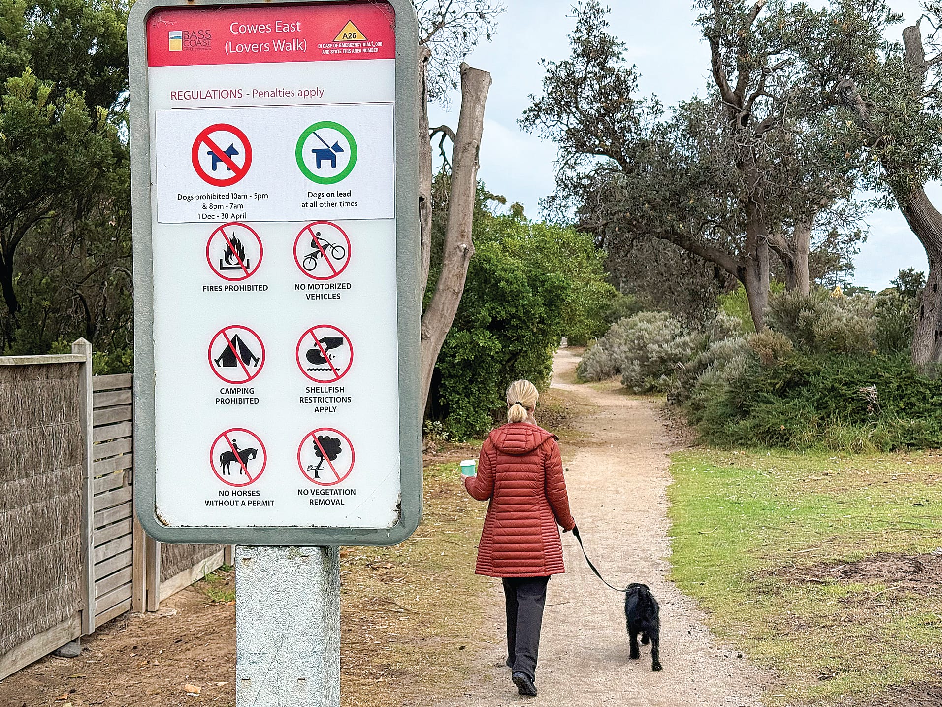 They’ll tell you how to walk the dog