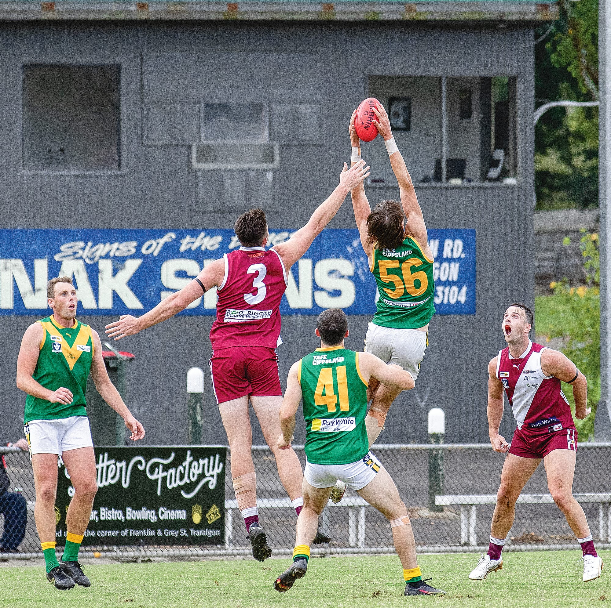 Parrots soar late in opening round