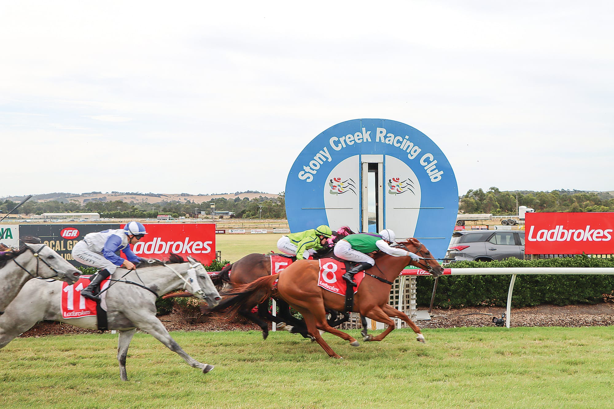 Diamatti wins the Evans Petroleum Handicap in Race 6. A78_0125