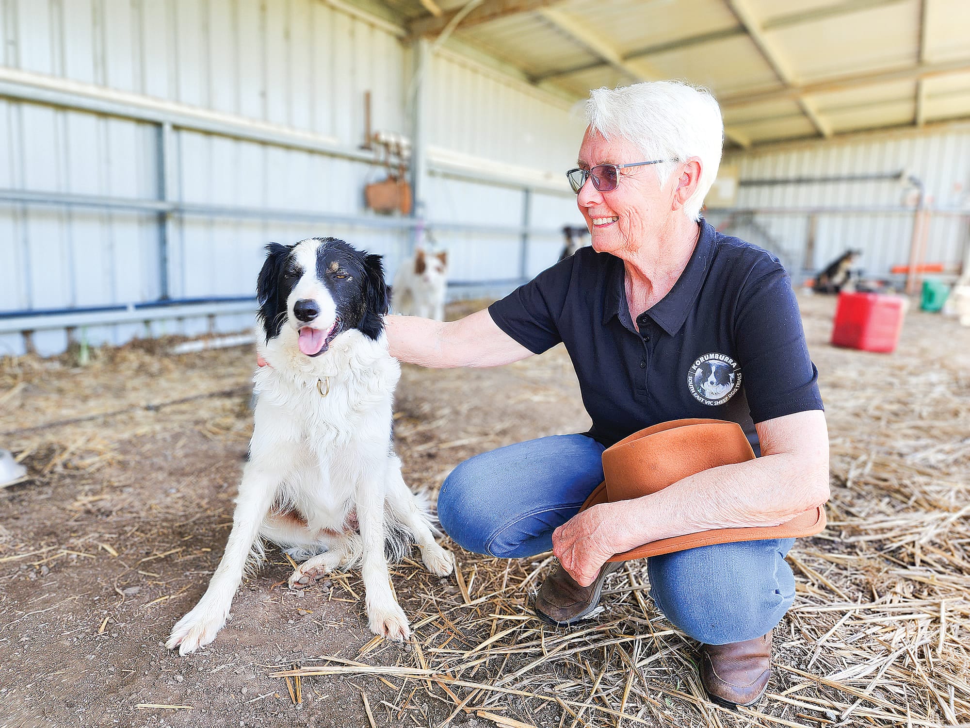 Sheep dogs impress all at Korumburra