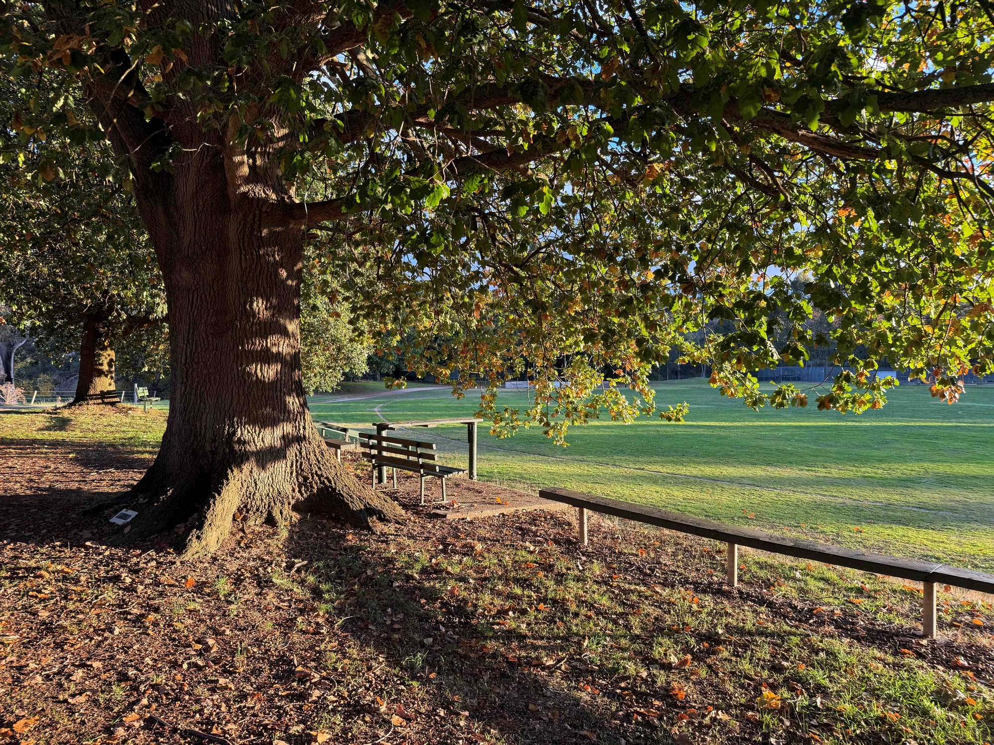 Mushroom trial: If she loved them, why didn’t she help them?
