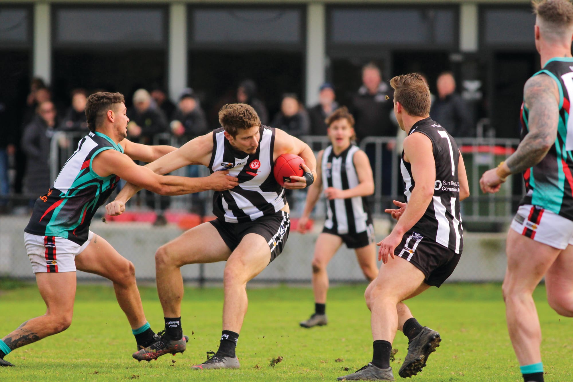 Magpies clipped by Cobras’ strike