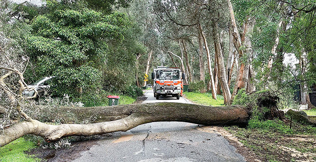 Busiest two years ever for our SES volunteers