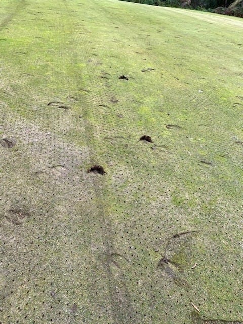 Hefty prospective members left a distinct impression at Leongatha Golf Club.