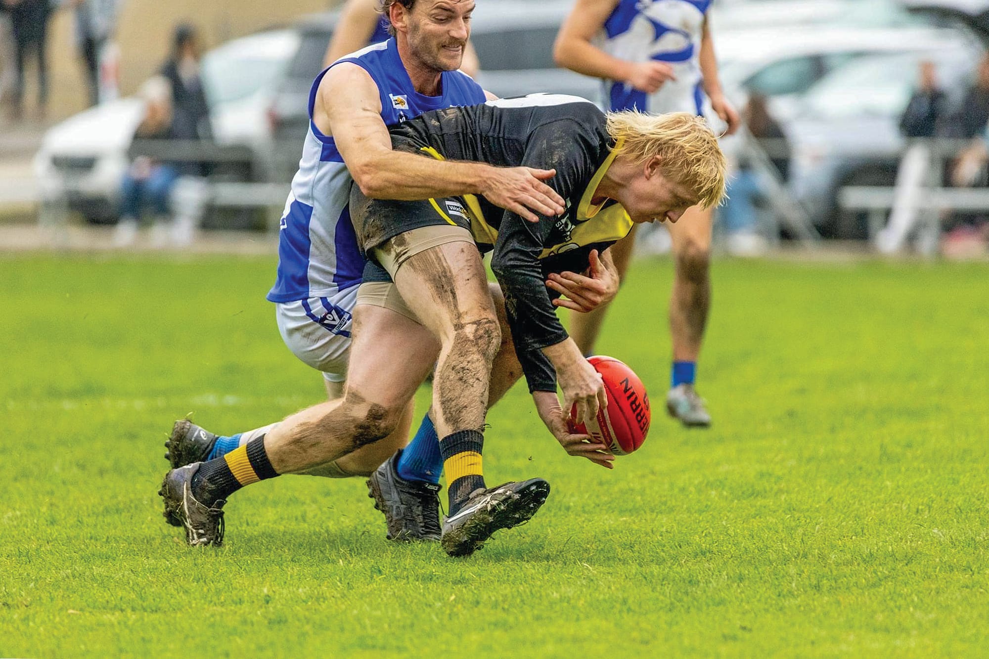 Sharks pick apart Tigers