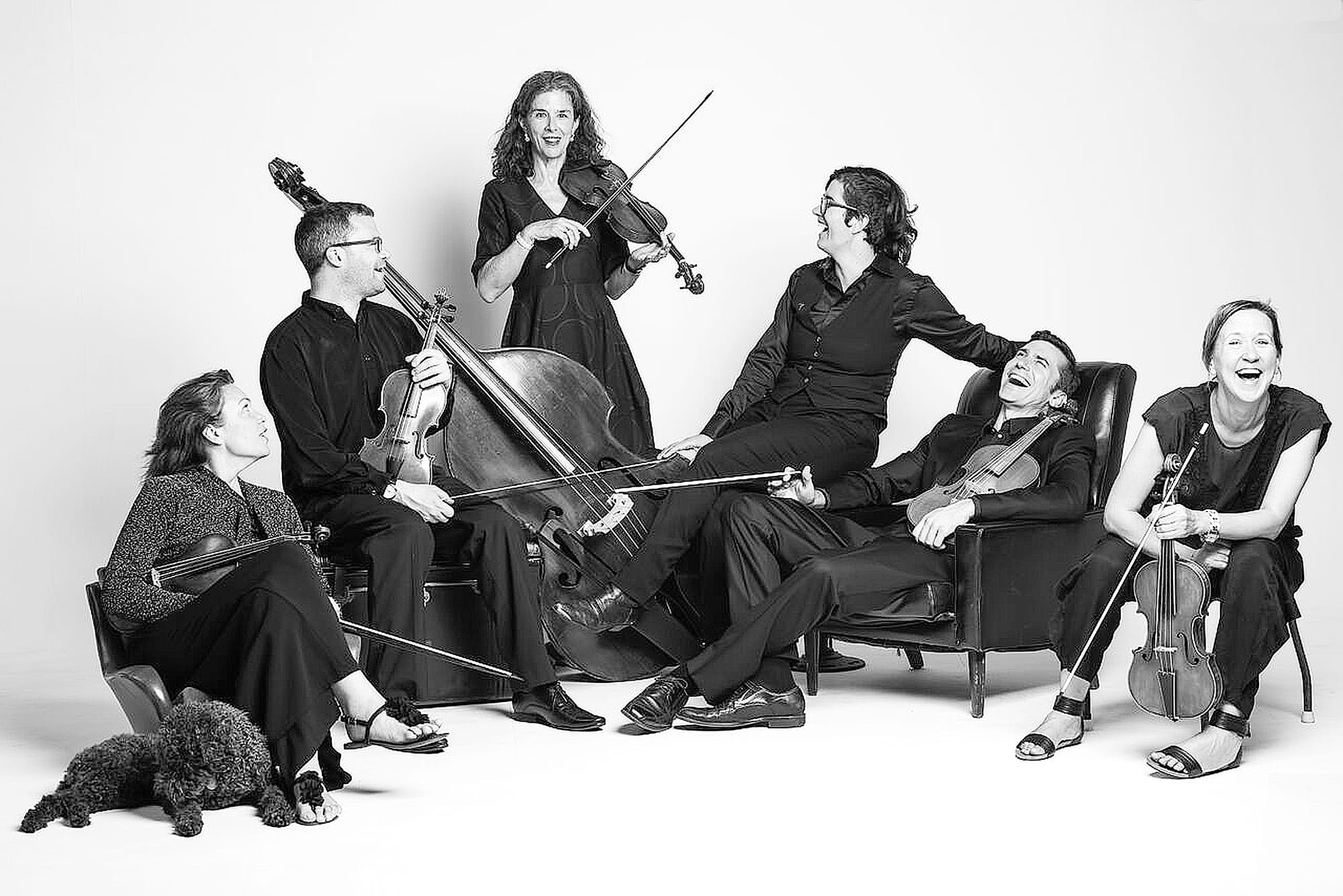 Chamber orchestra to perform