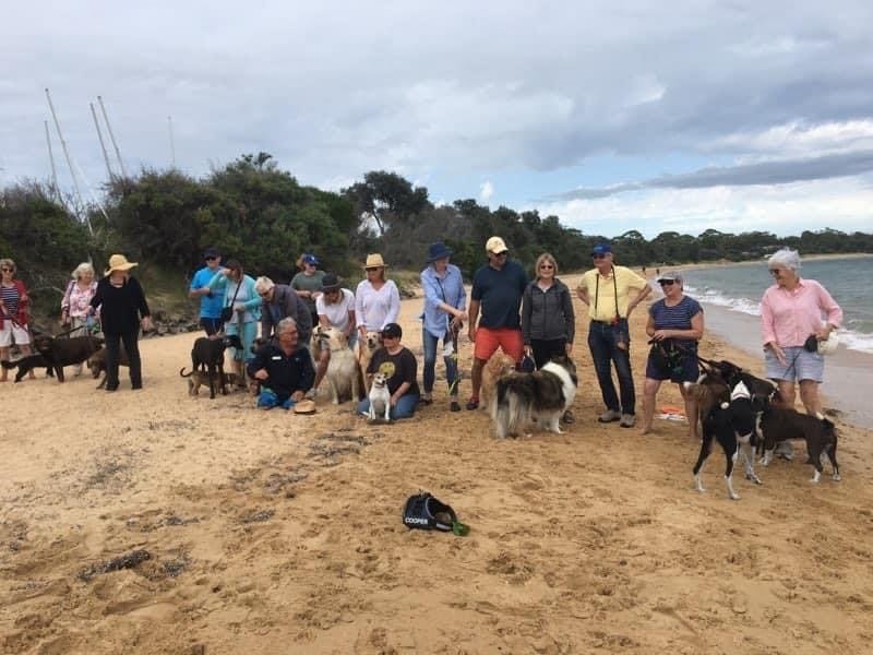 Dogs ‘unleashed’ on the beach
