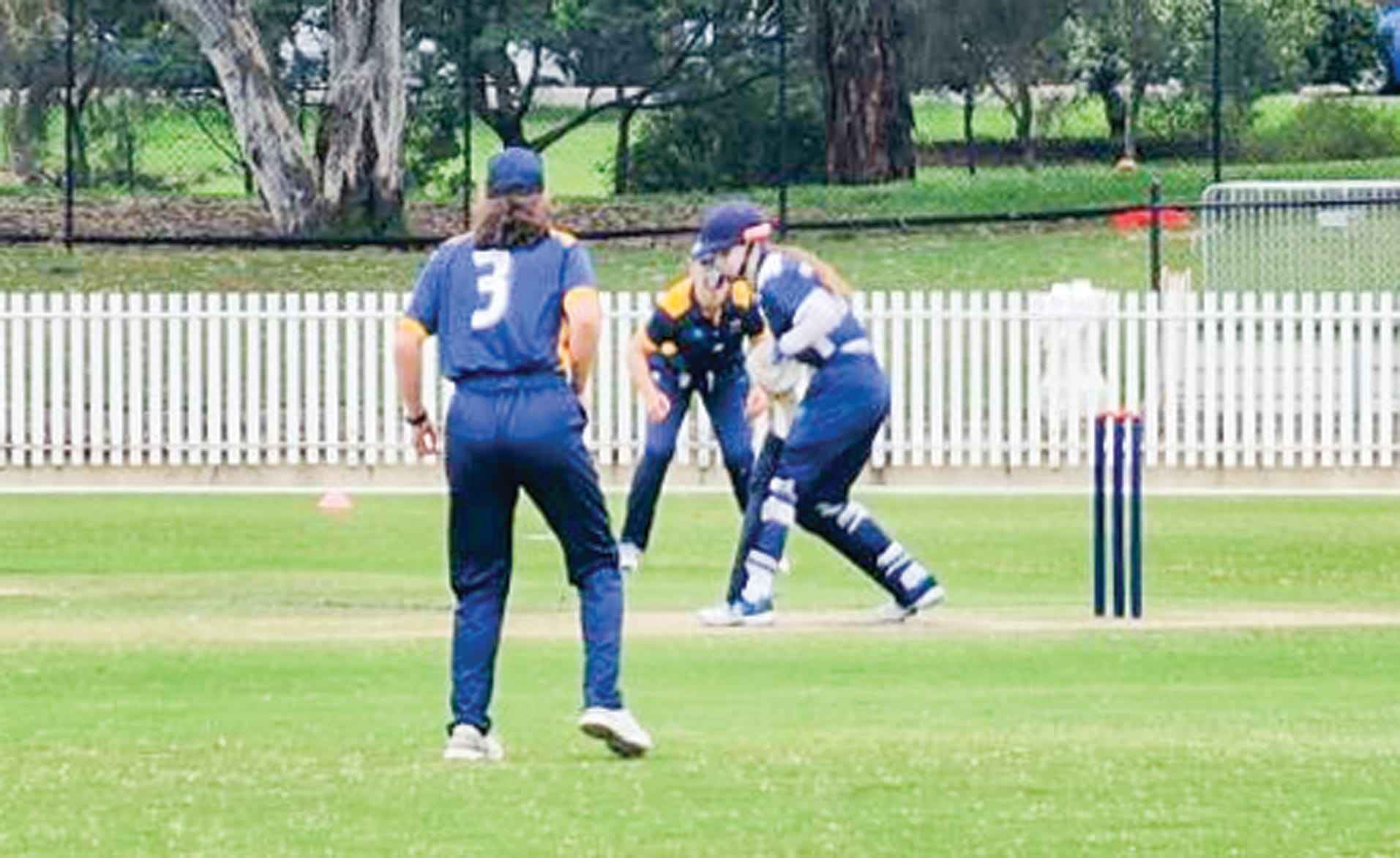 Holly Williams batting for Gippsland Pride, representing Leongatha and District Cricket Association.