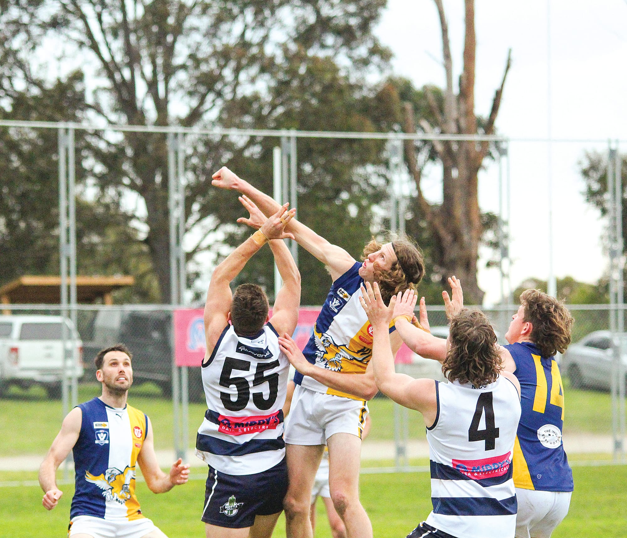 Taite Cumming spoils for IK. 