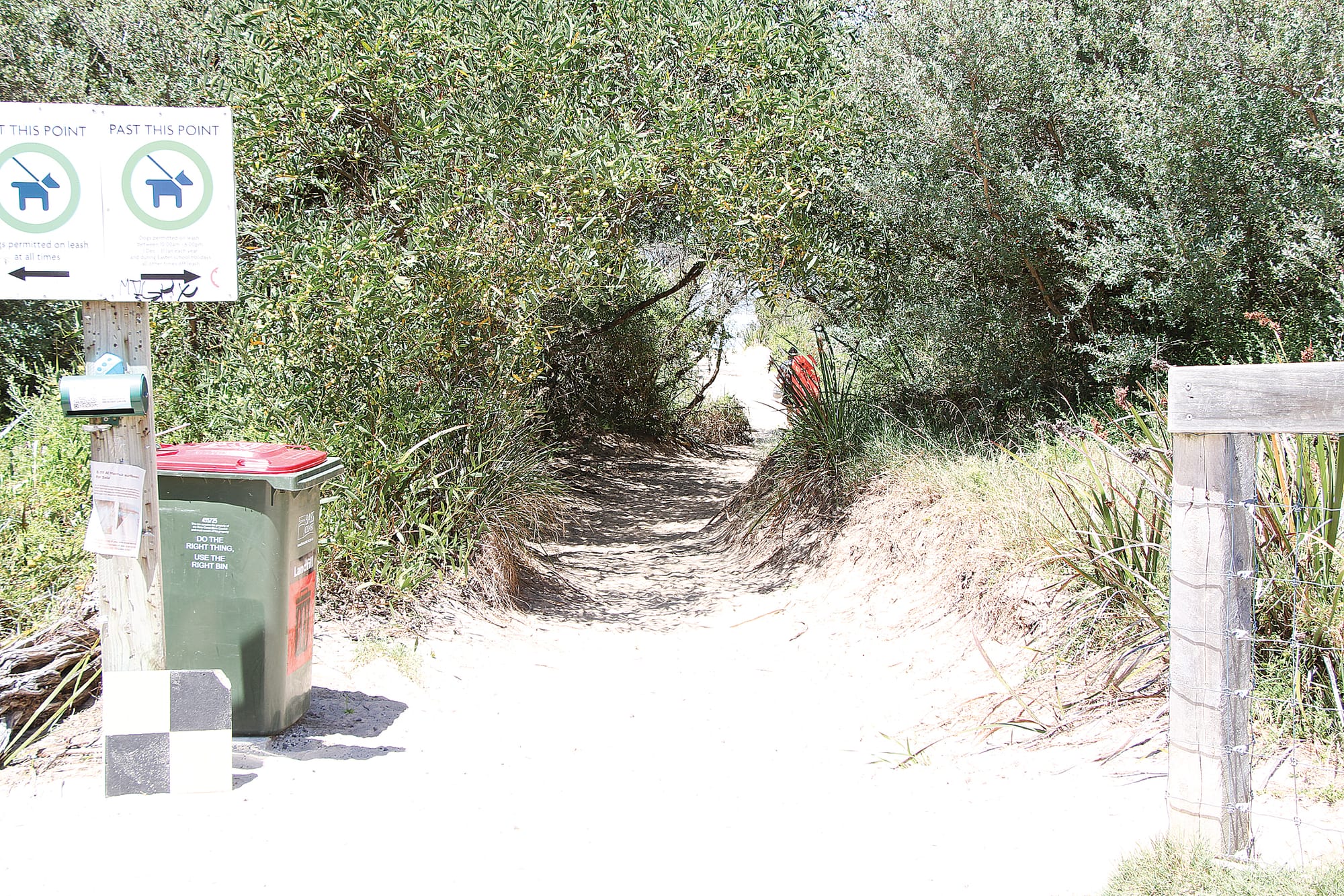 Access tracks on Surf Parade Inverloch losing ten metres of sand each year. B28_5224