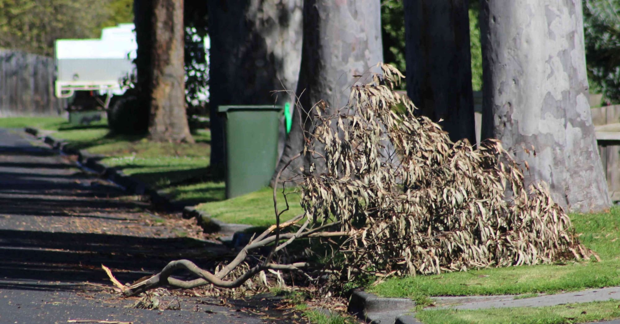 Let’s go free green waste in Bass and South Gippy