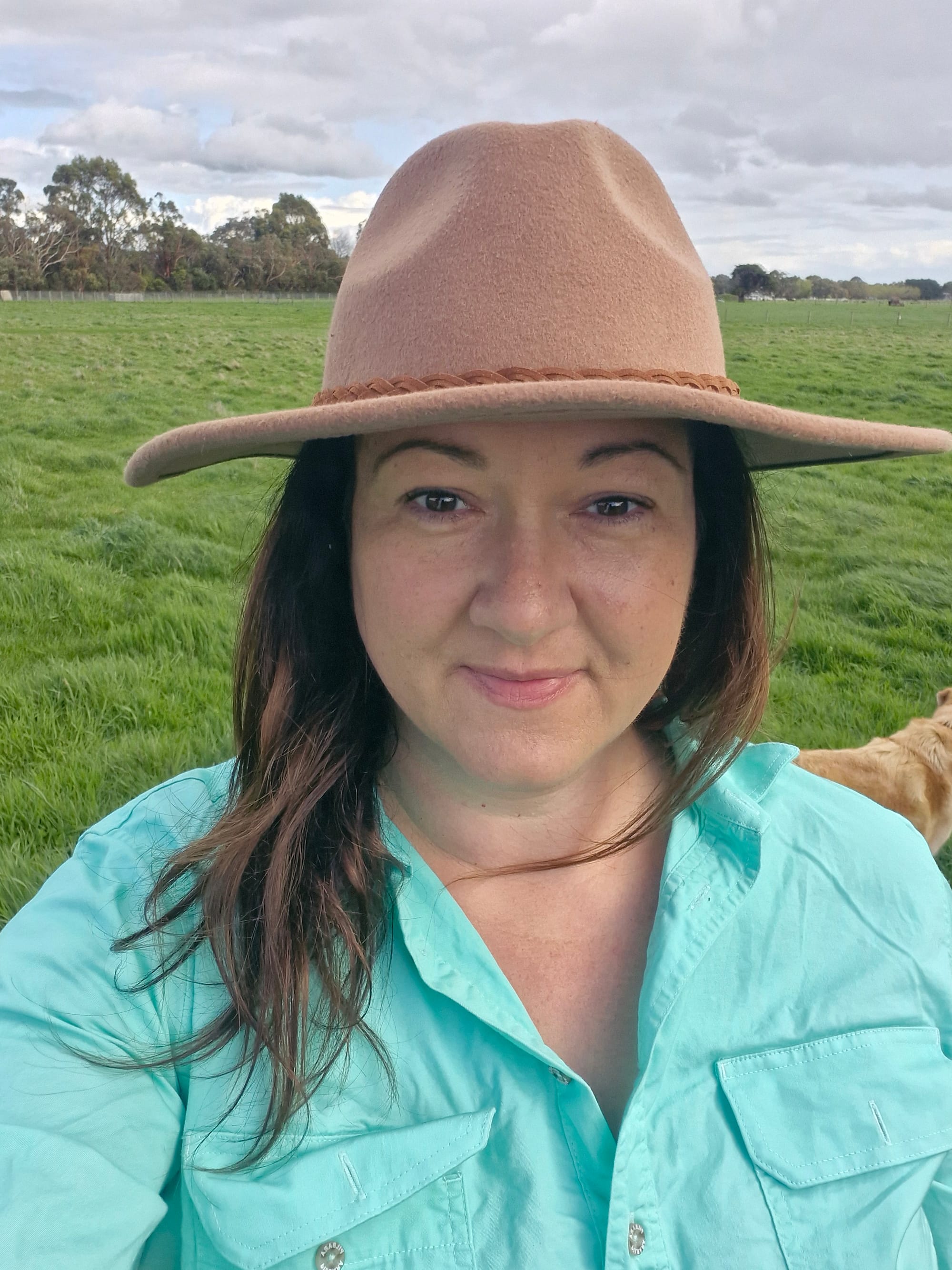 Shed Talk – For Farmers, by farmers to support yourself and your mates