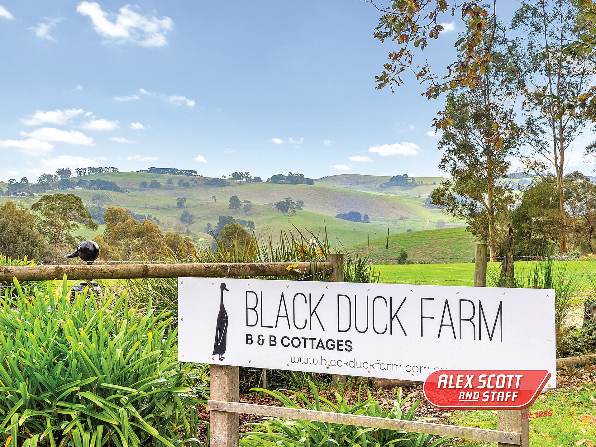Black Duck Farm on the market