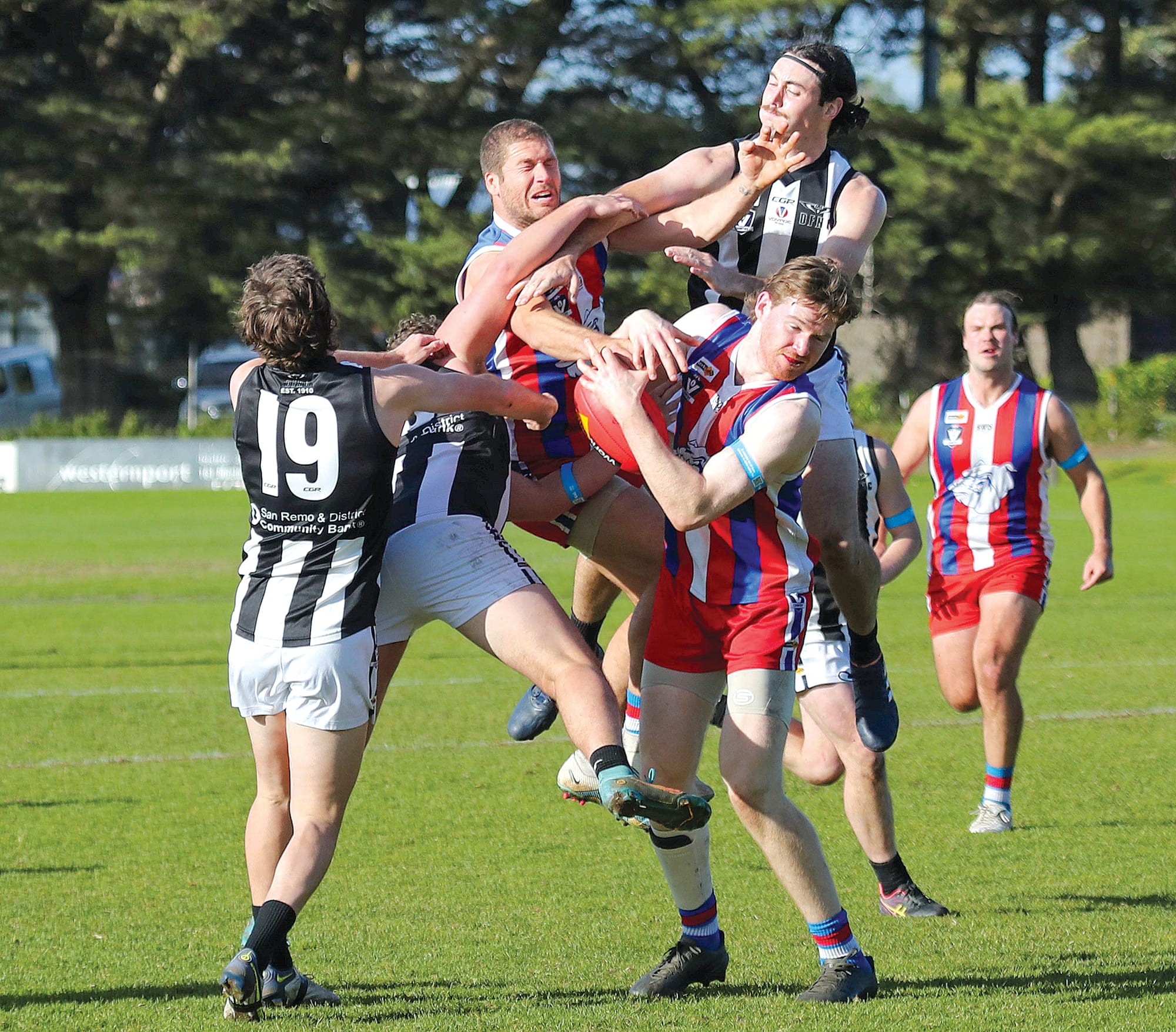 Bulldogs unleash a kennel rampage