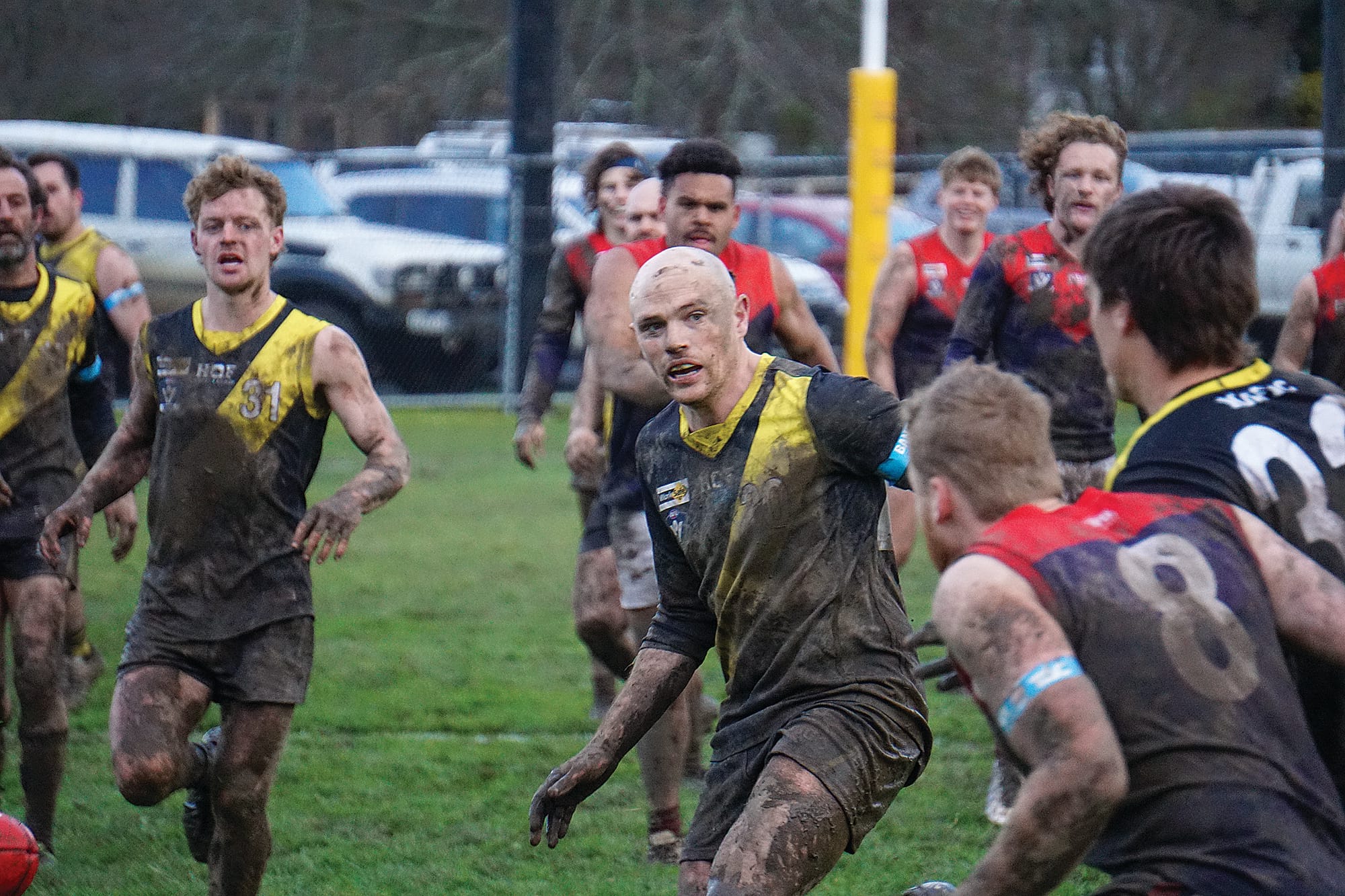 Tigers triumph in nail-biter before roaring premiership home crowd