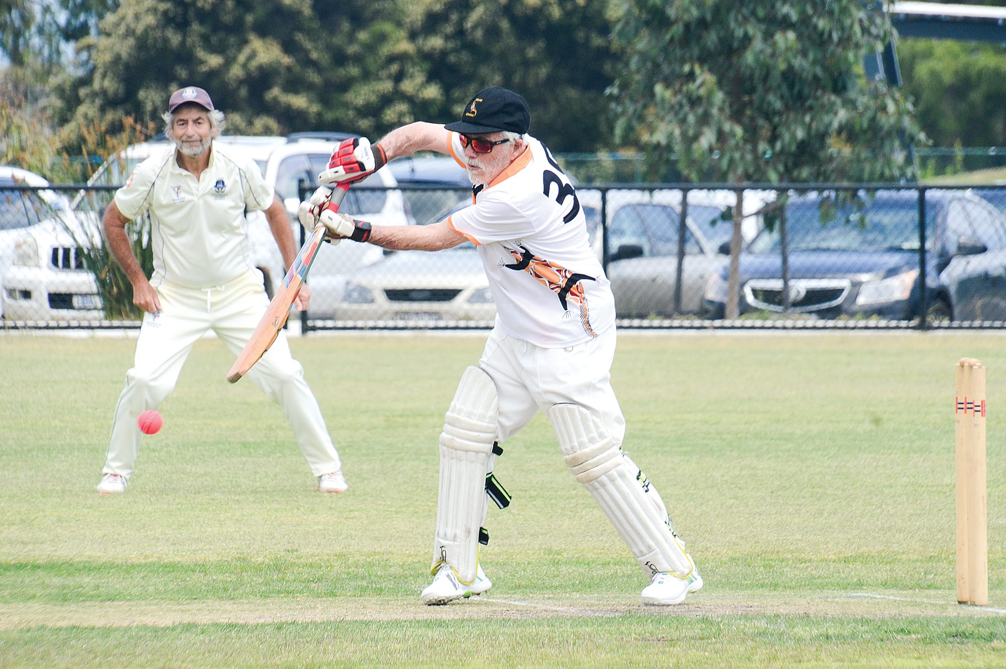 Goannas outdone by ACS