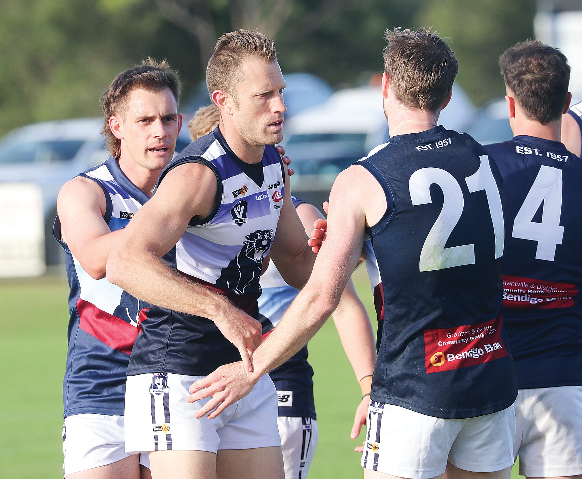 Panthers hold their ground