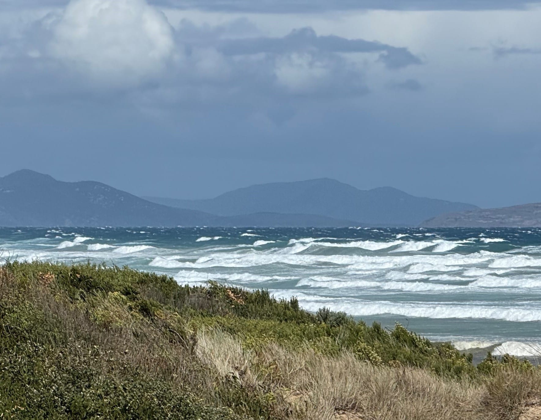 ‘Deeply concerned' about Waratah Bay corridor, says Responsible Renewables