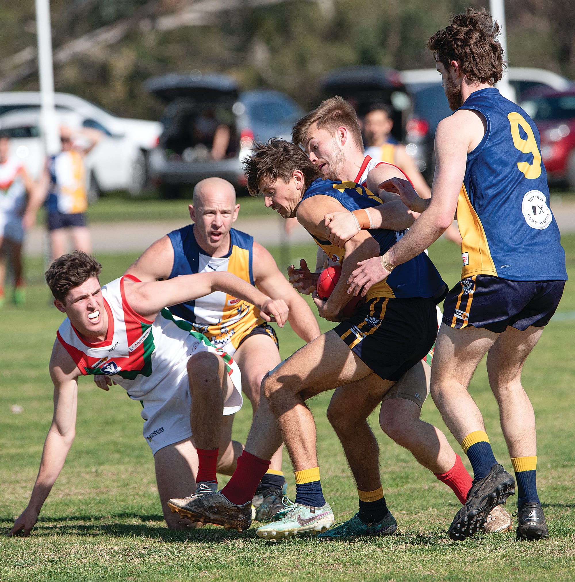 Sea Eagles swoop in