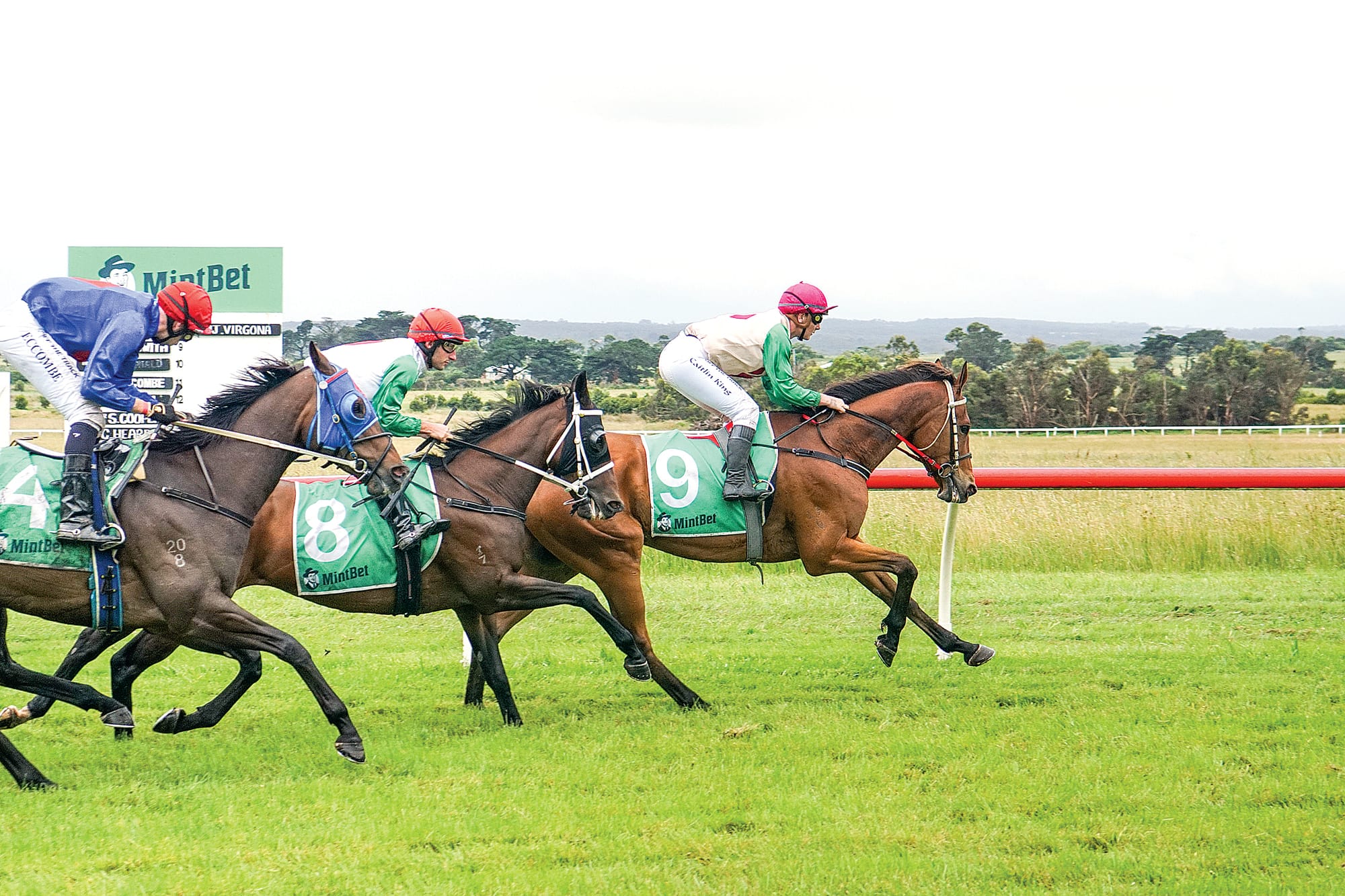 Caitlin King and Tofik Tok take the lead by a thin margin. Ns30_4923