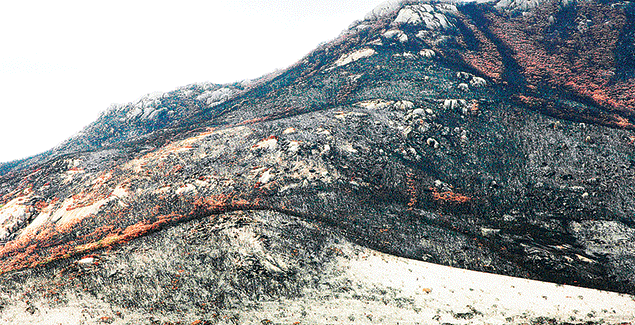 ‘Landscape Interrupted’ at Stockyard Gallery