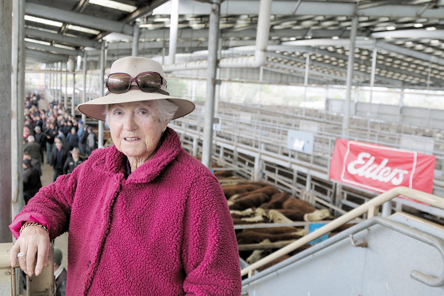 Prices holding up for high-quality cattle