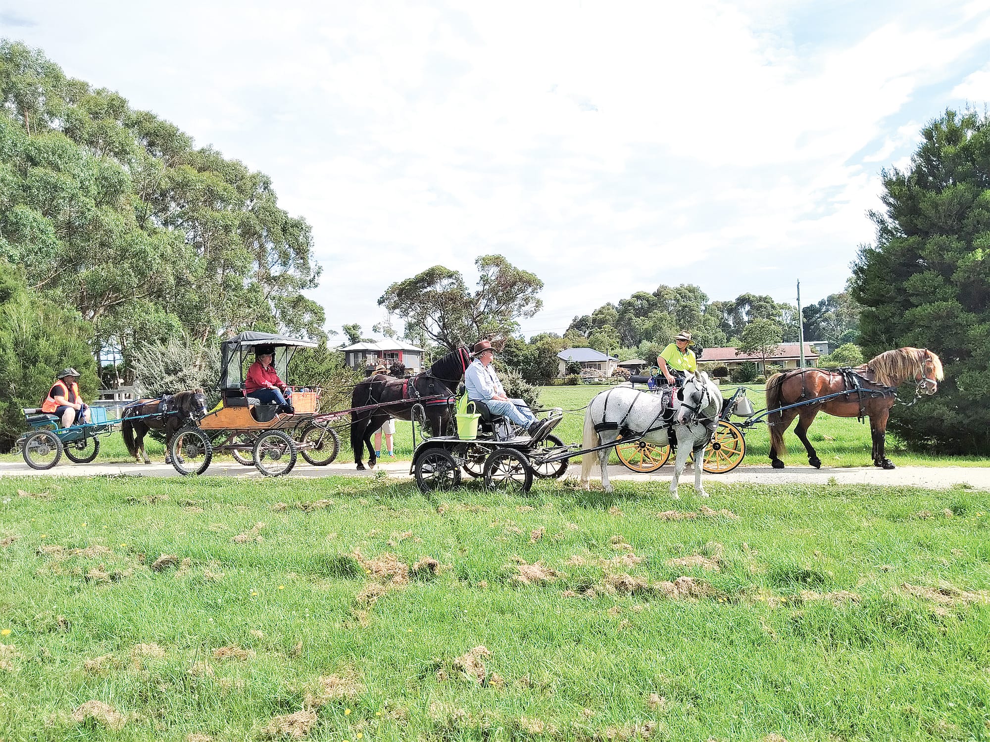 Watch as Fundraiser Harness Drive rolls past