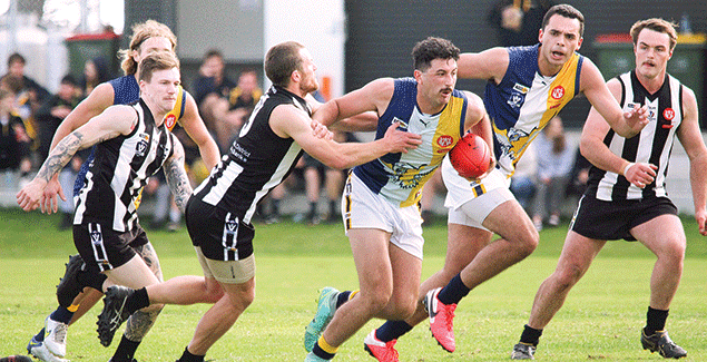 Sea Eagles devastate Magpies