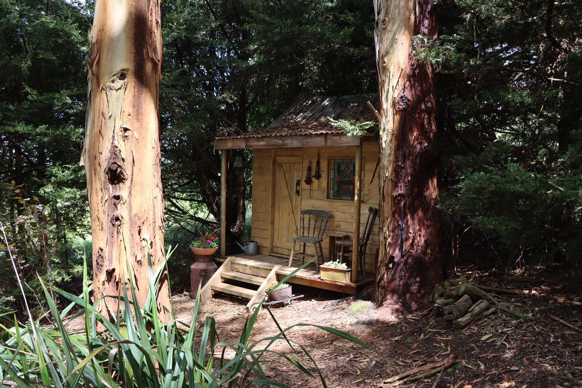 ‘Swift Heath’ garden