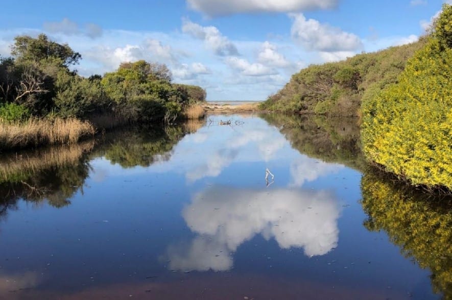 ‘At risk’ Wreck Creek estuarine lagoon.
