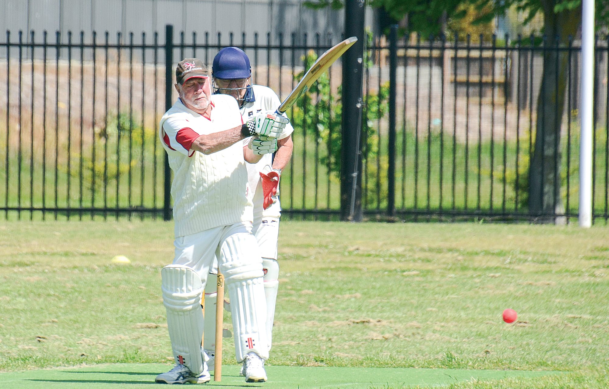 Wombats go down in thriller