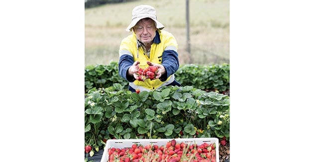 Farmers needed for new horticulture business study
