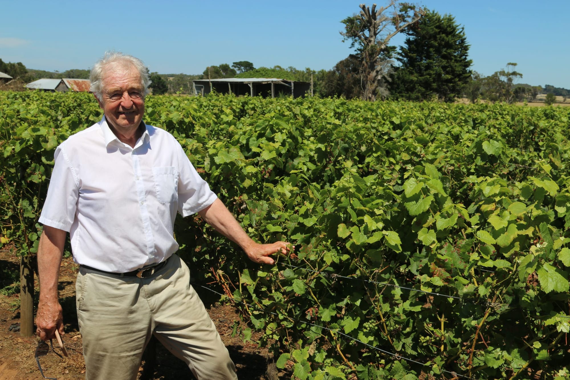 Australia Day honour for Leongatha South winemaker Phillip Jones