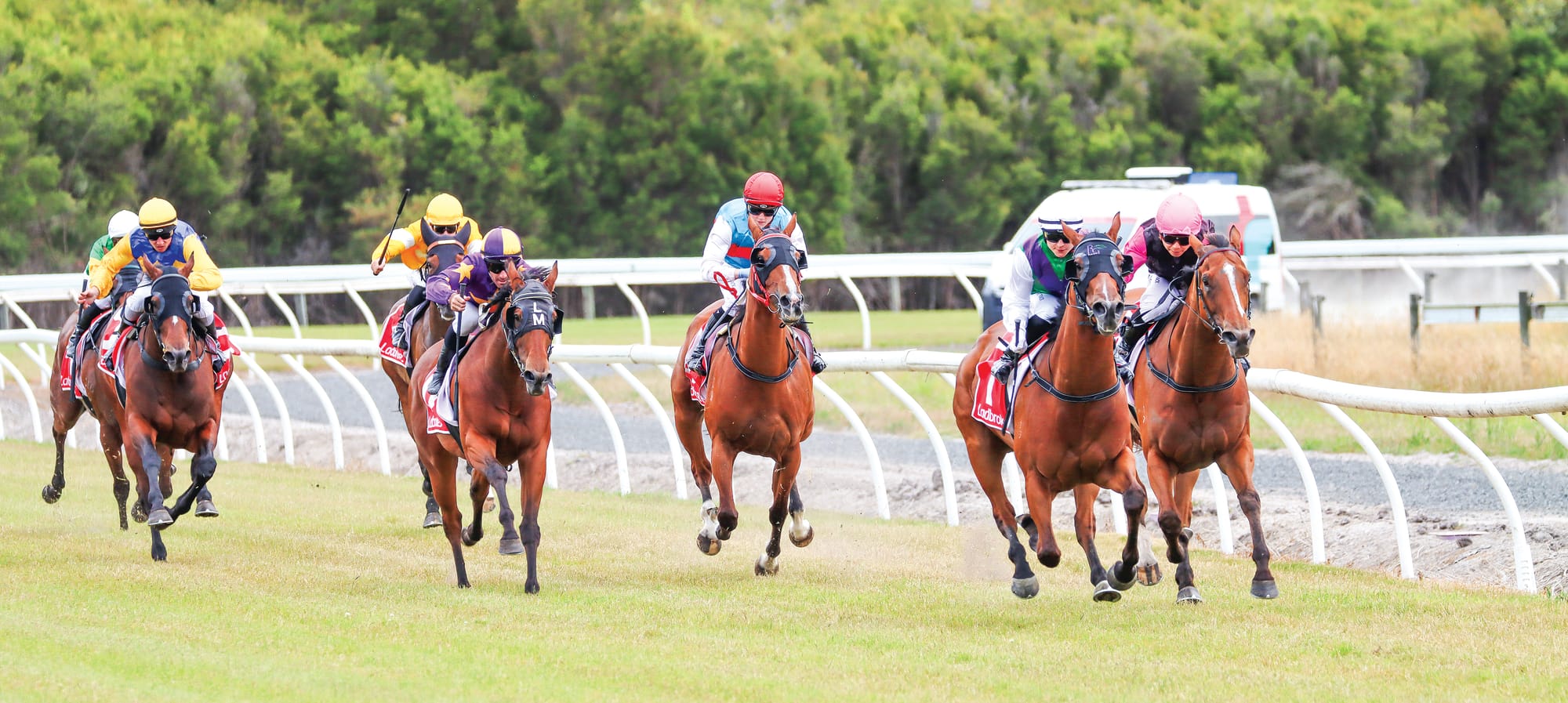 Patrons enjoy Stony Creek racing despite the heat