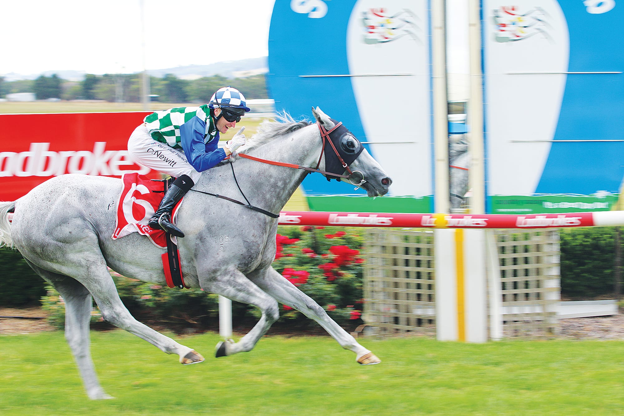 Favourite Flambeur took to the lead in the 2100m for an easy win down the straight on Sunday. C52_1123