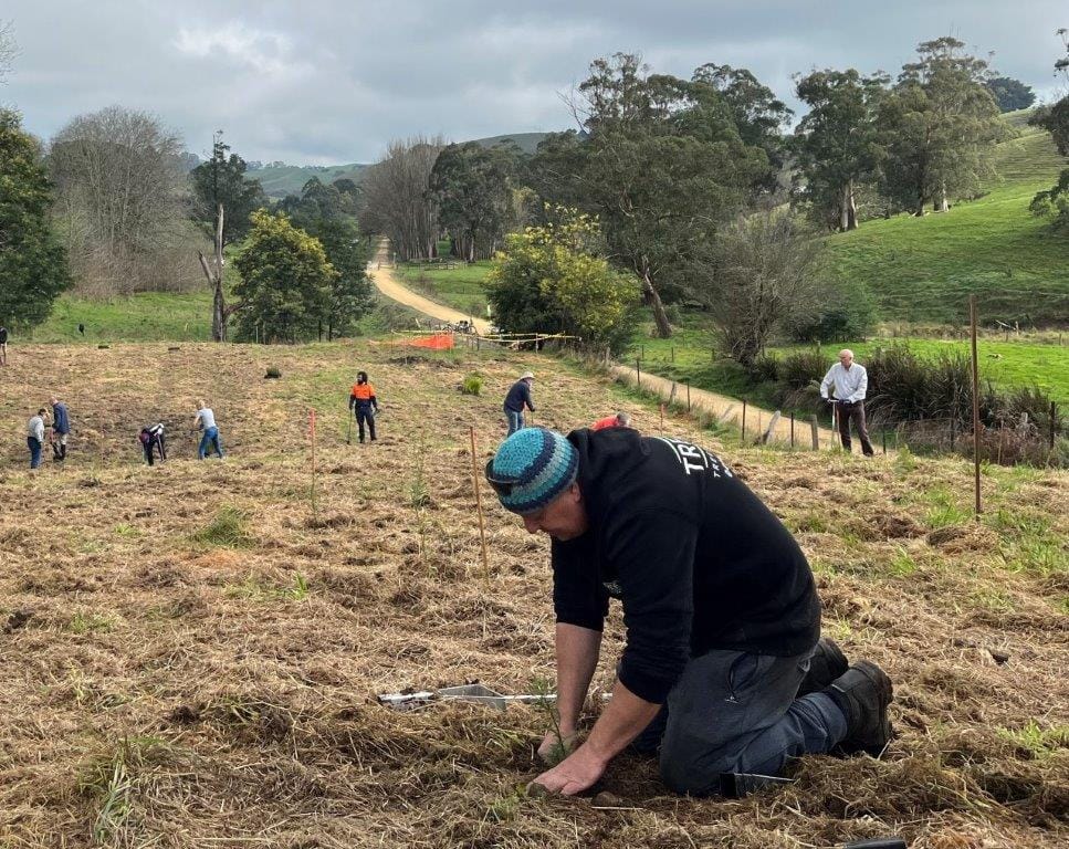 The Loch-Nyora Landcare Group planted more than 1500 native trees and shrubs along the rail trail at Jeetho.