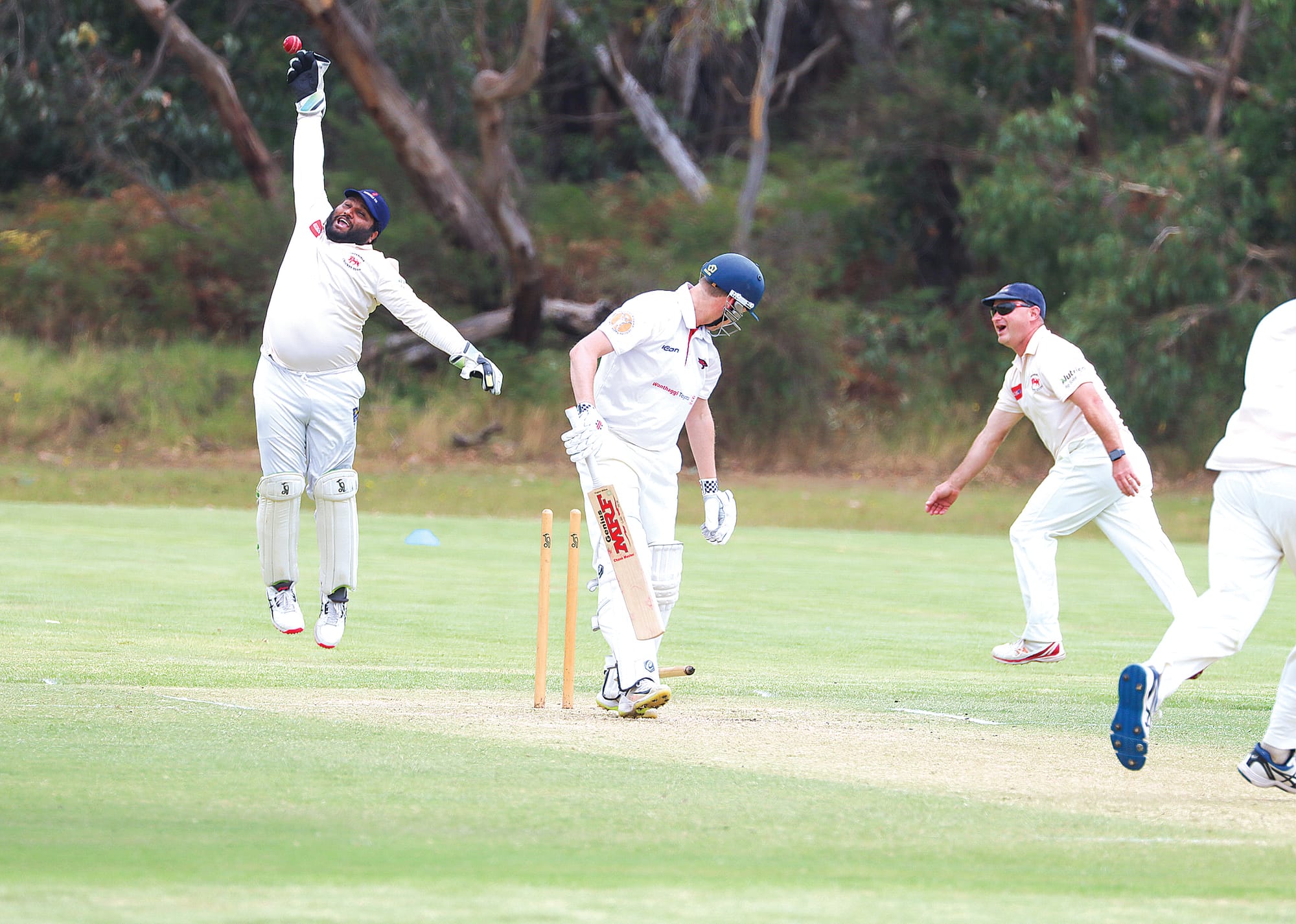 OMK outclass the Cobras