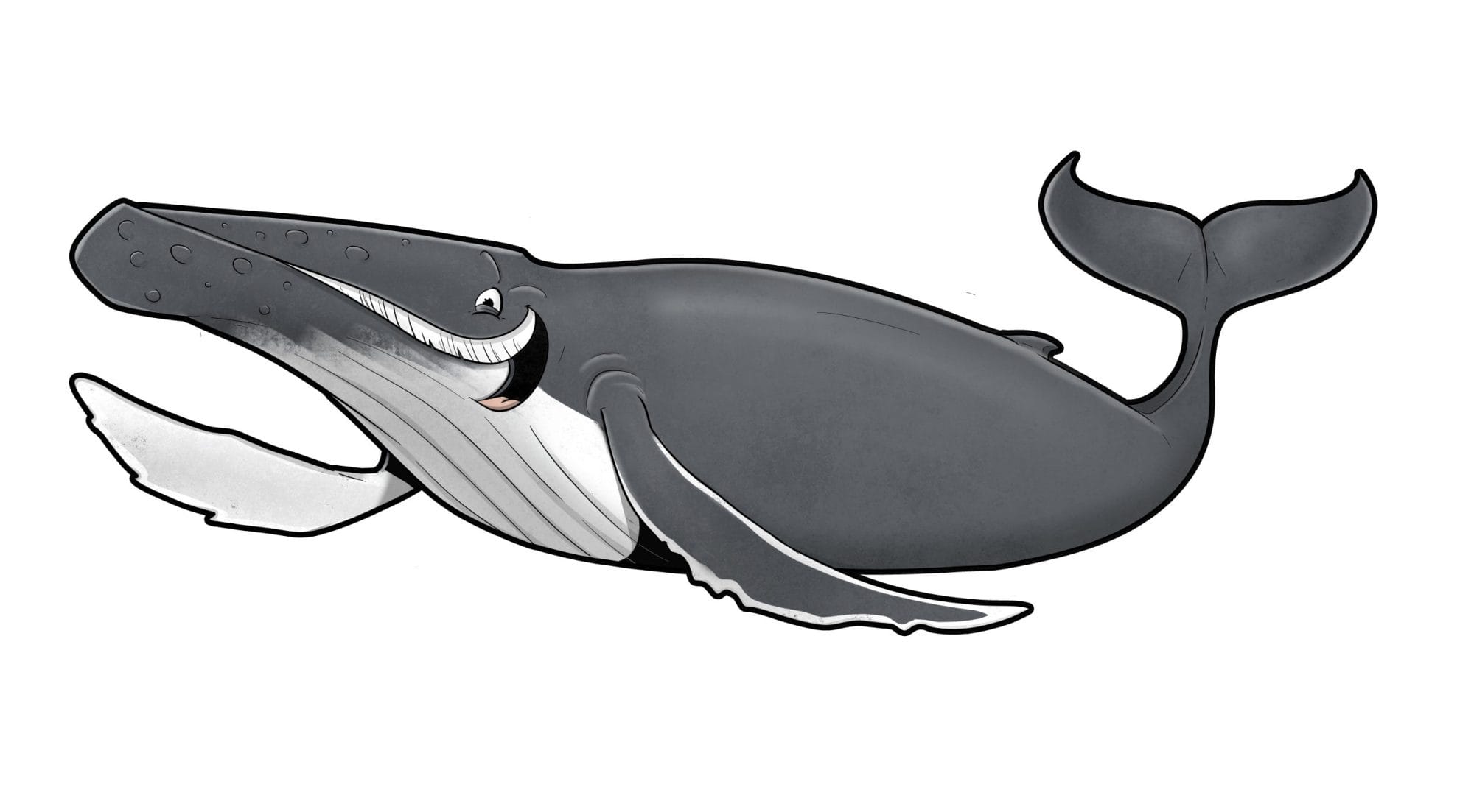 Name our new whale mascots