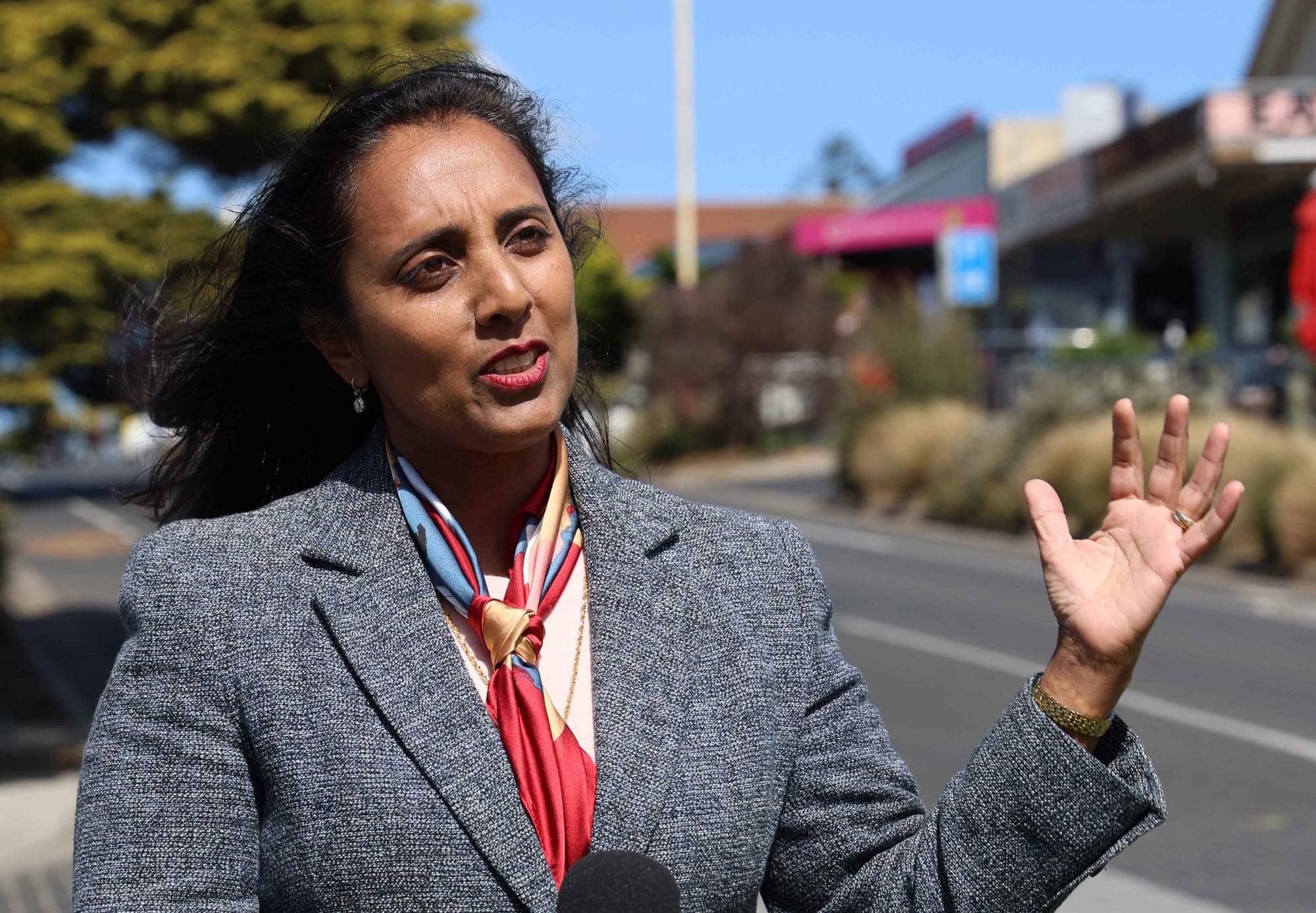 Senator Ananda-Rajah launches $9.6M Cowes reinvigoration project