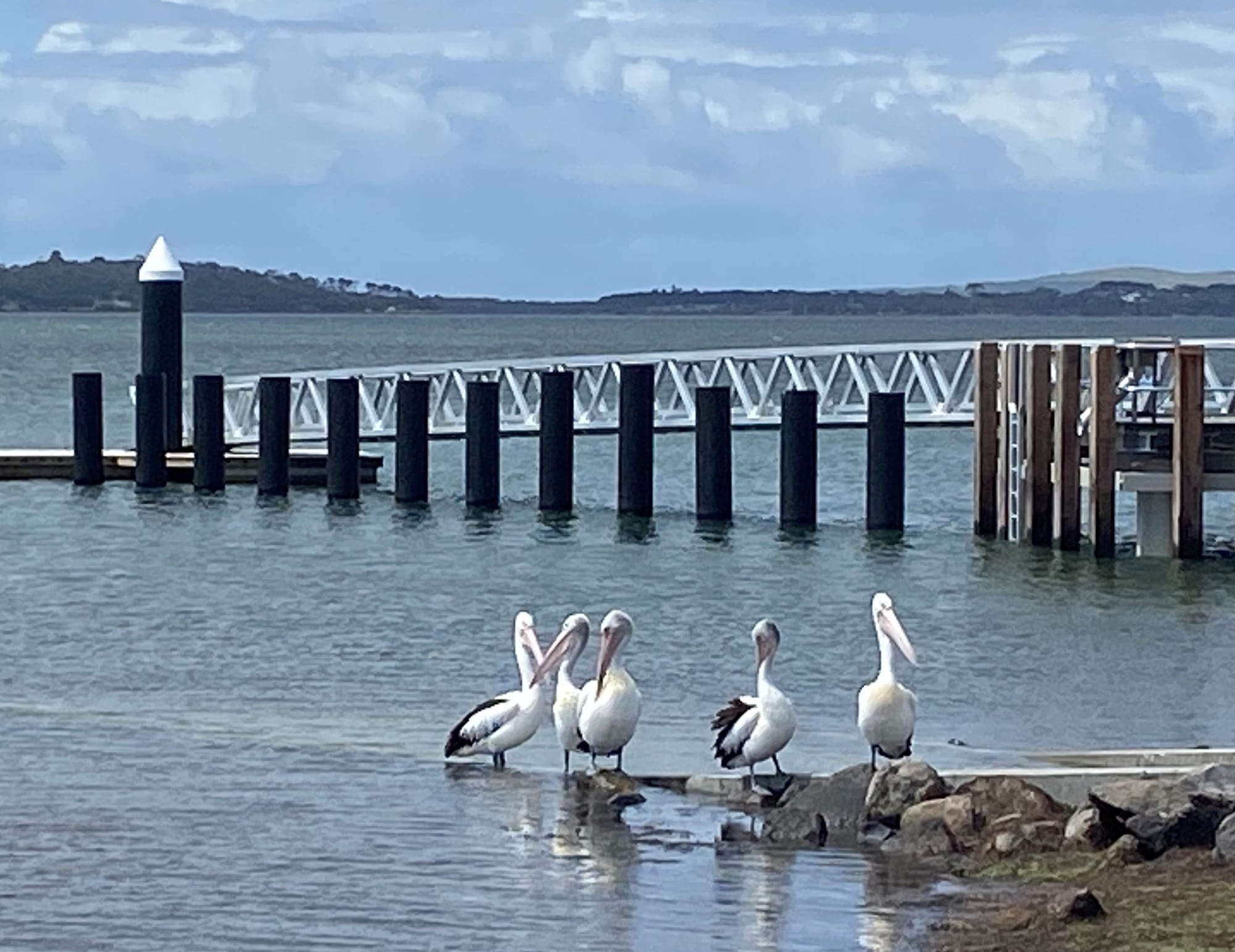 New Rhyll Boat Ramp’s 'a beauty', they say