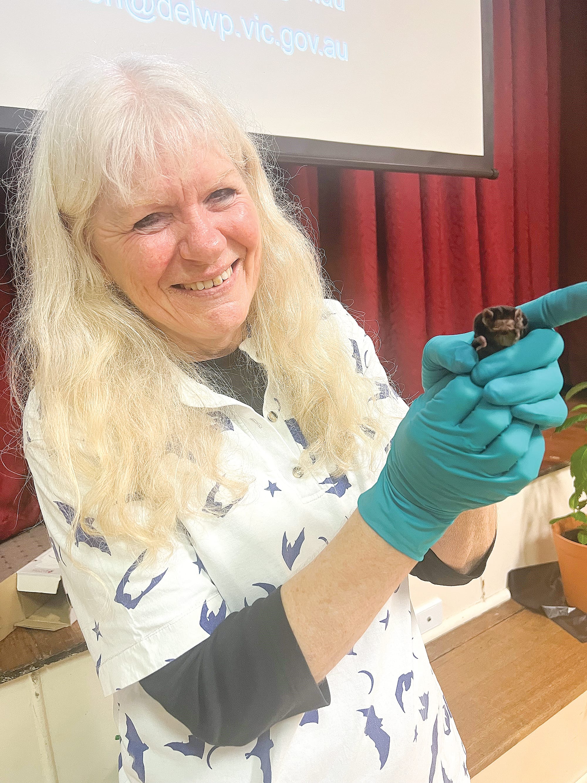 Dr Lindy Lumsden with a Gould’s Wattled Bat. 