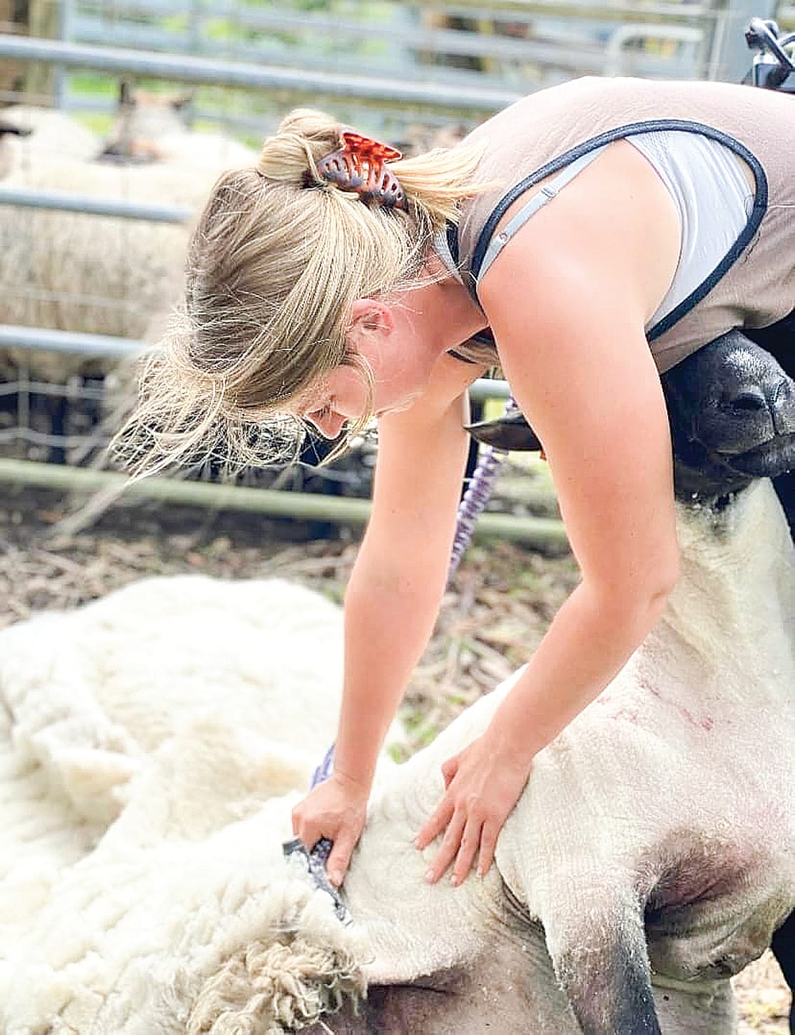 Crowd favourite Chloe Dann, the sheep shearer, will be back this year demonstrating sheep shearing and husbandry across the weekend. 