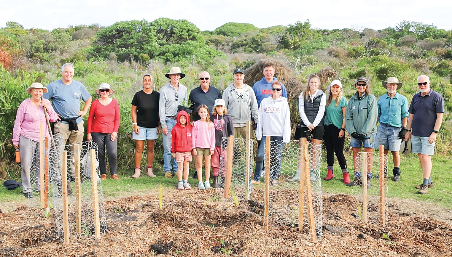 The Cape community have planted mini forests of indigenous plant species, to ensure koalas thrive in the area.  
