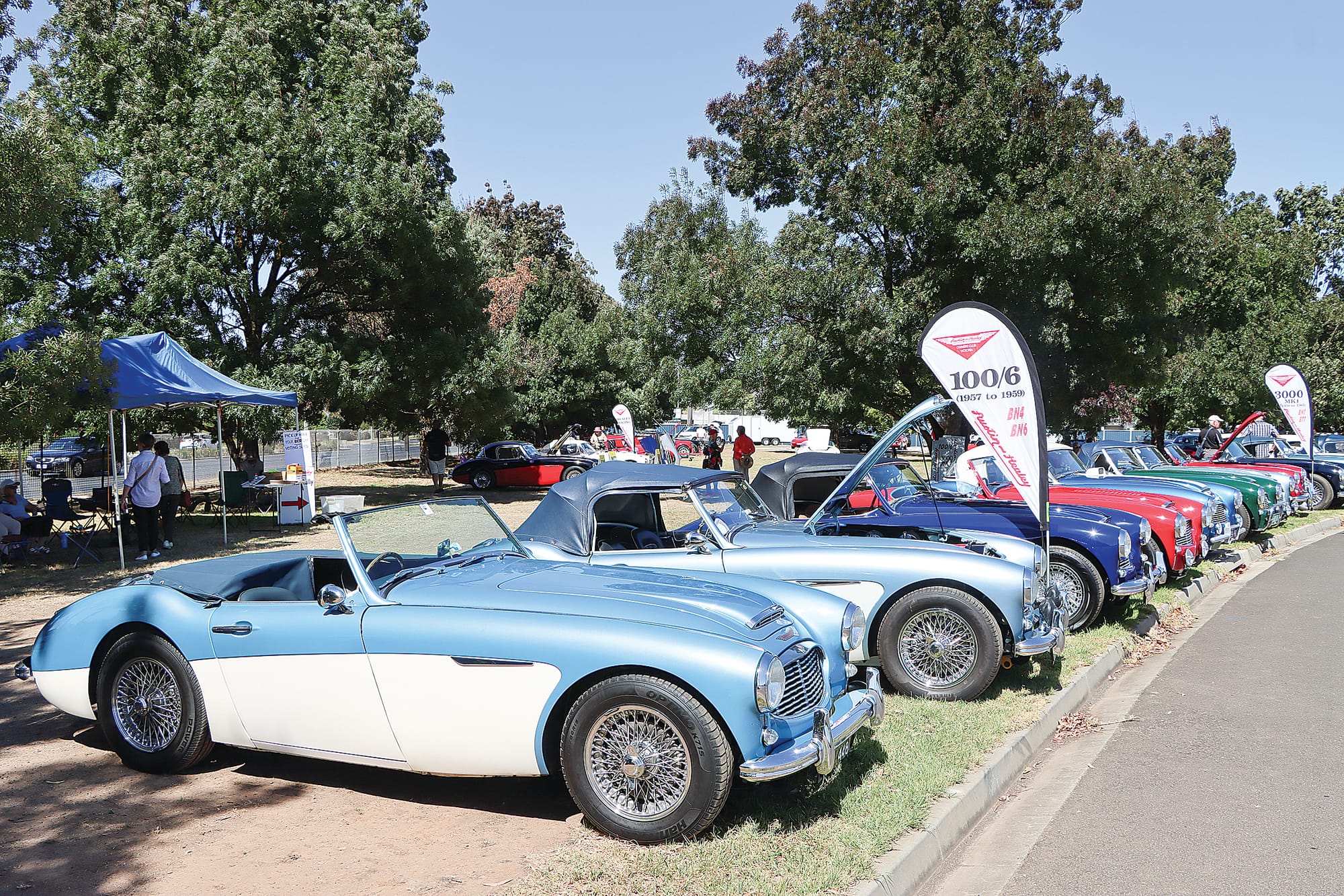 Some of the stunning Austin Healeys that visited Leongatha. A06_1025