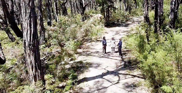 ‘Walking in the Woodlands’ - A lighter look at the issue