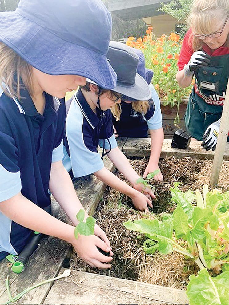 Engaging activities are not only teaching students life skills but also contributing academically in a fun way.