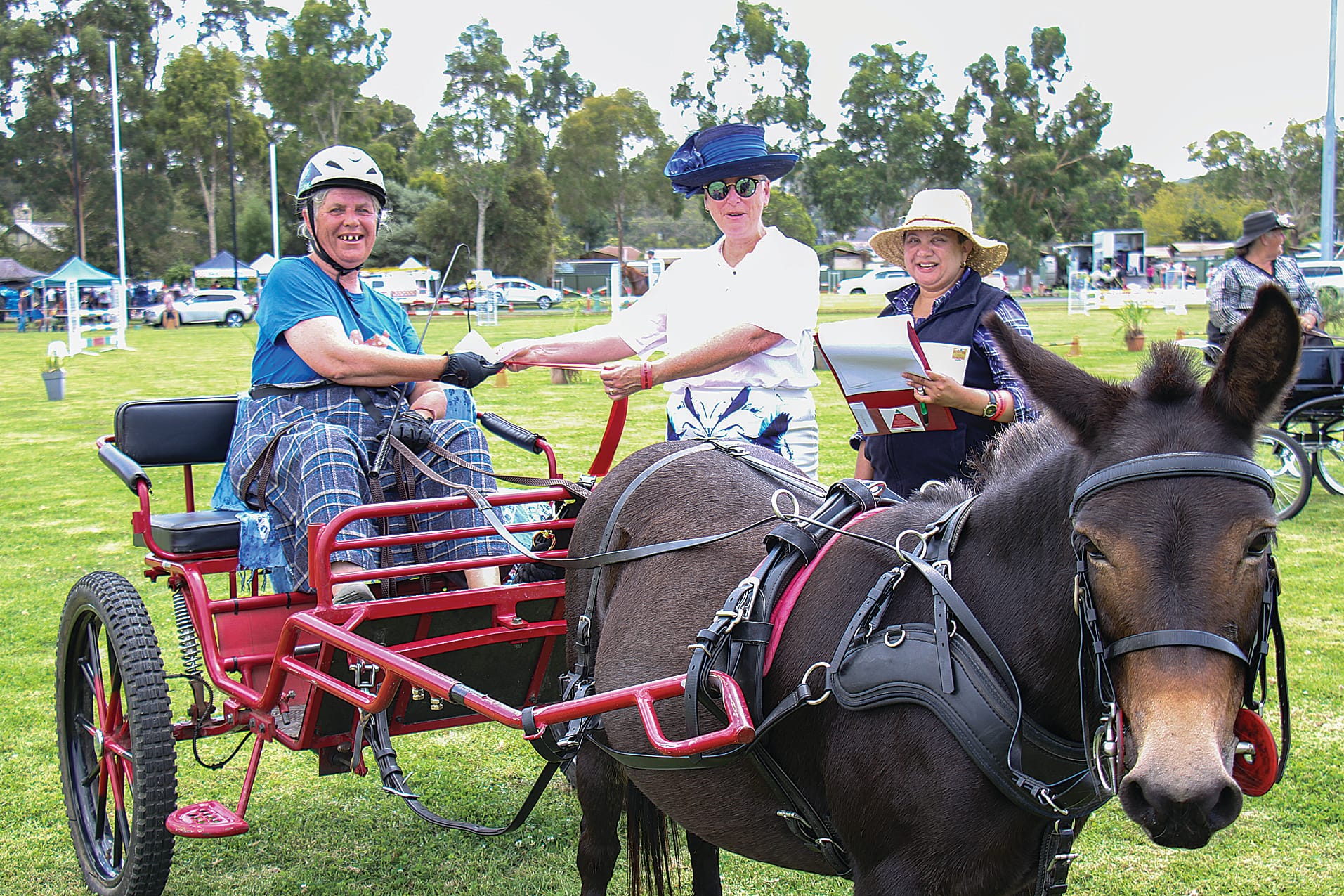 2nd place Open Driver Fiona Mottram with mule Daisy and Foster Show Steward Jennifer Nieuwenhuizen B86_0825