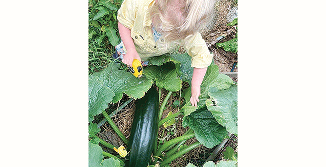 Exhibit shed returns to Foster Show